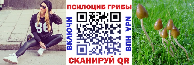 OMG рабочий сайт Новочеркасск Галлюциногенные грибы MAGIC MUSHROOMS